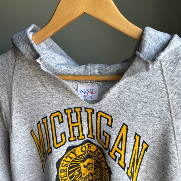 Michigan Wolverines University Hoodie XL Vintage Sweatshirt - Picture 10 of 17